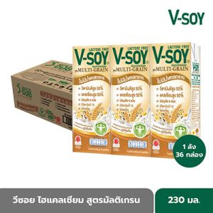 V-Soy Hi-Calcium Multigrain Formula 230 ml. X 36 boxes