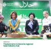 THDB Sector on the Rise in Thailand